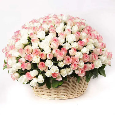 Grand Affection, White Roses, Sweet Revival Roses, Grand Handle Basket